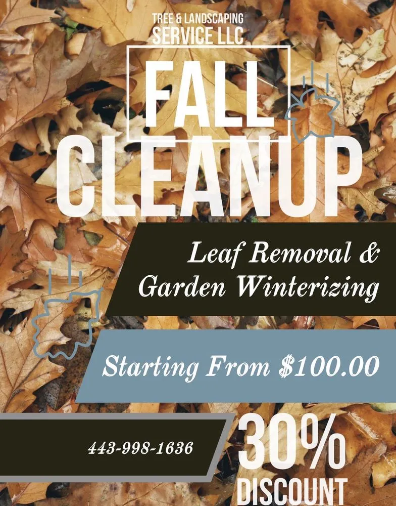 Reliable lawn care service for year-round maintenance across Parkville, MD - Christian Outdoor Landscape