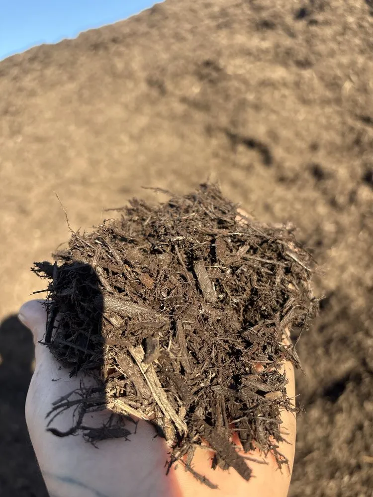 Custom yard cleanup service for outdoor upgrades in Parkville, MD by Christian Outdoor Landscape