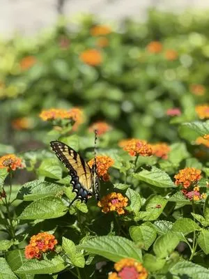 Christian Outdoor Landscape