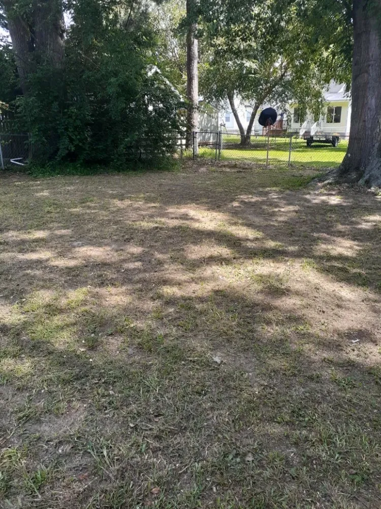 Trusted landscape design in Tarboro, NC - Christian Pressure Washing and Landscaping services