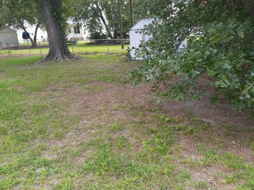 Local landscape design in Tarboro, NC by Christian Pressure Washing and Landscaping services