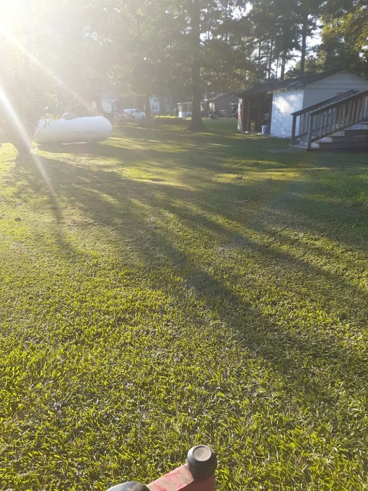 Reliable yard maintenance for outdoor upgrades in Tarboro, NC by Christian Pressure Washing and Landscaping services