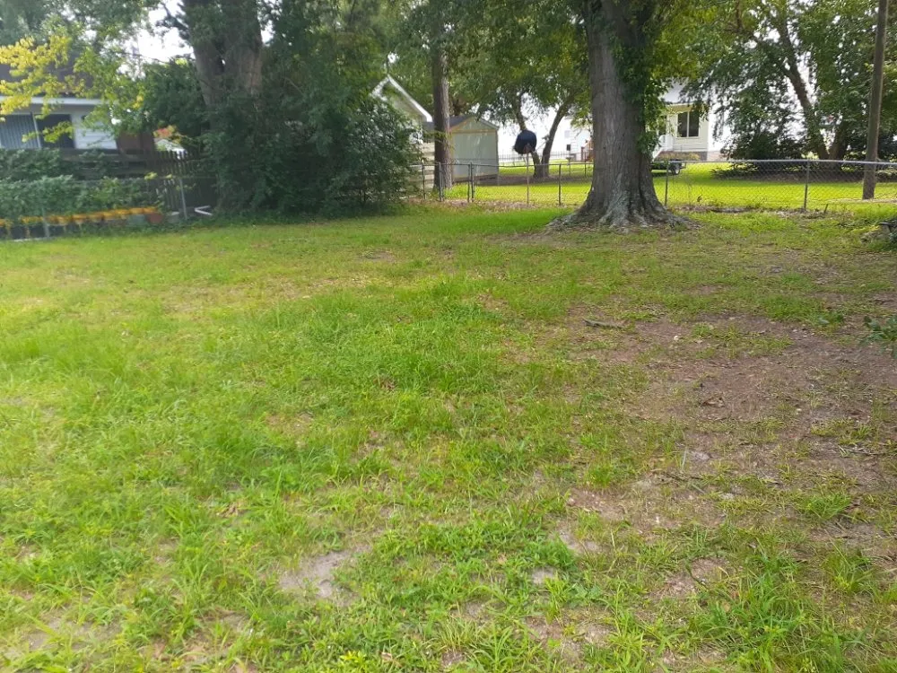 Top-rated yard cleanup service near you across Tarboro, NC - Christian Pressure Washing and Landscaping services