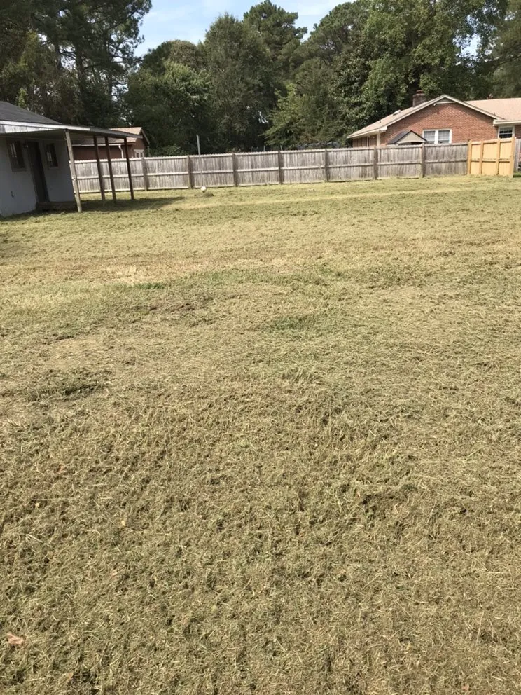 Reliable lawn care service in Tarboro, NC by Christian Pressure Washing and Landscaping services