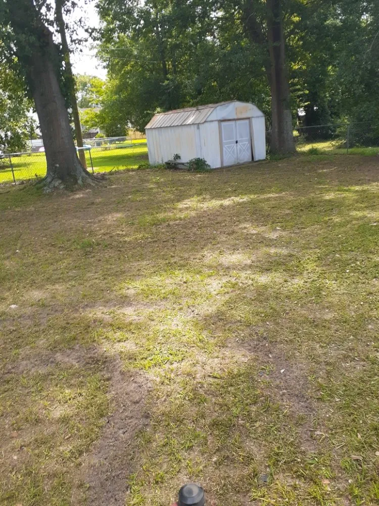 Expert yard cleanup service in Tarboro, NC - Christian Pressure Washing and Landscaping services