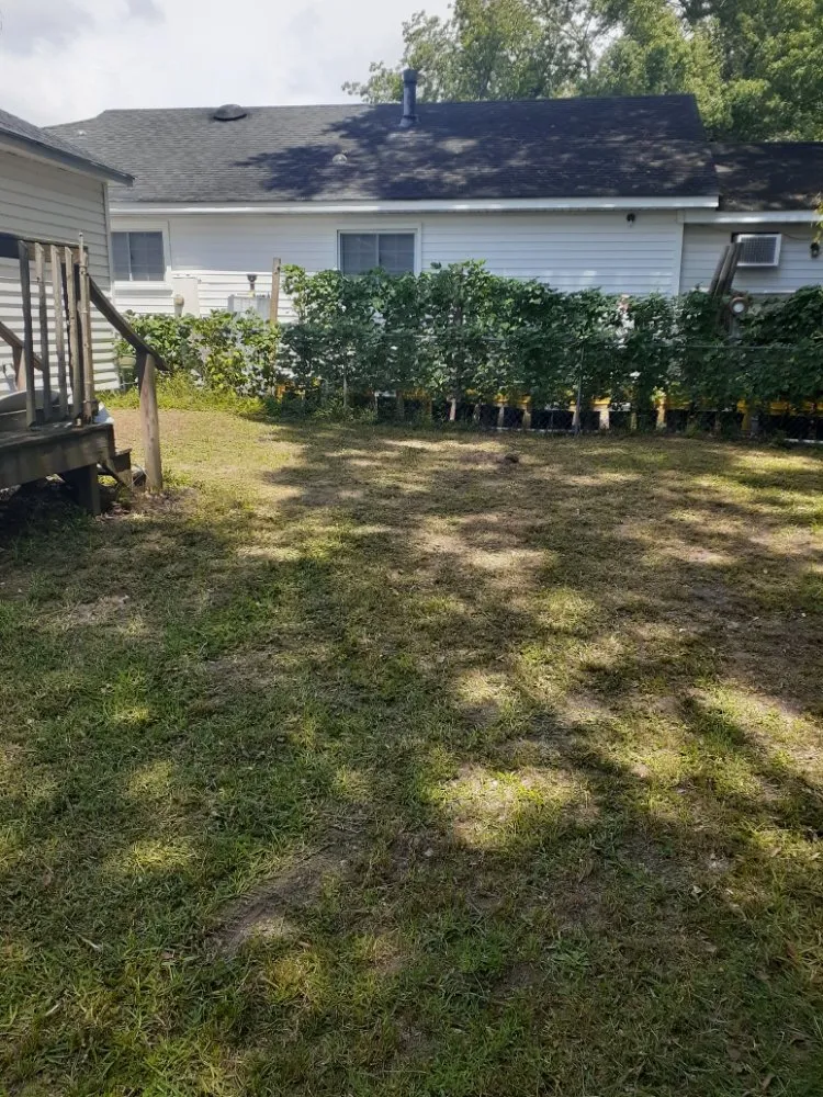 Custom yard cleanup service for outdoor upgrades across Tarboro, NC - Christian Pressure Washing and Landscaping services