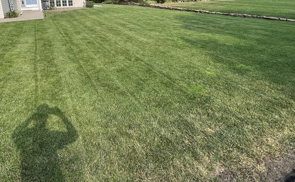 Local lawn care service experts serving Longs, SC - christian smith lawn care