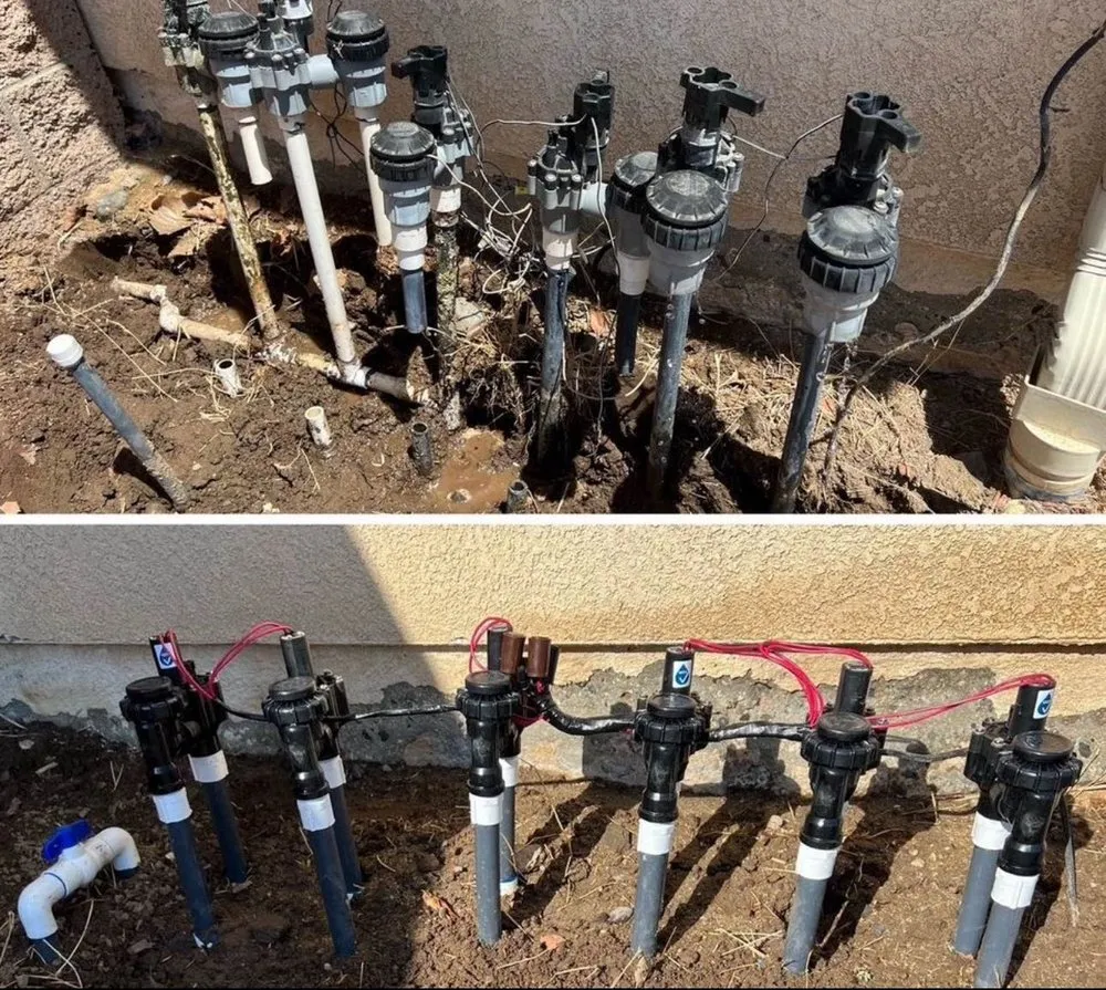 Local yard maintenance experts serving Nuevo, CA - Christians Landscape Co