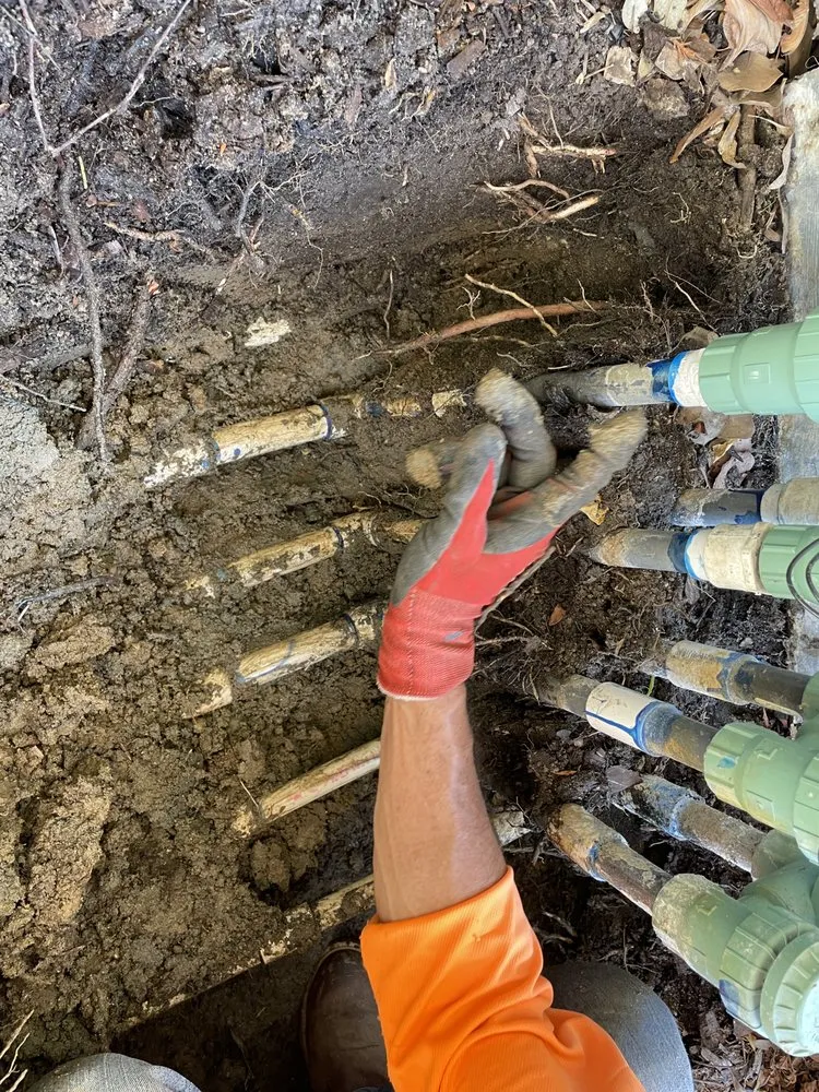 Top-rated landscape installation in Nuevo, CA - Christians Landscape Co