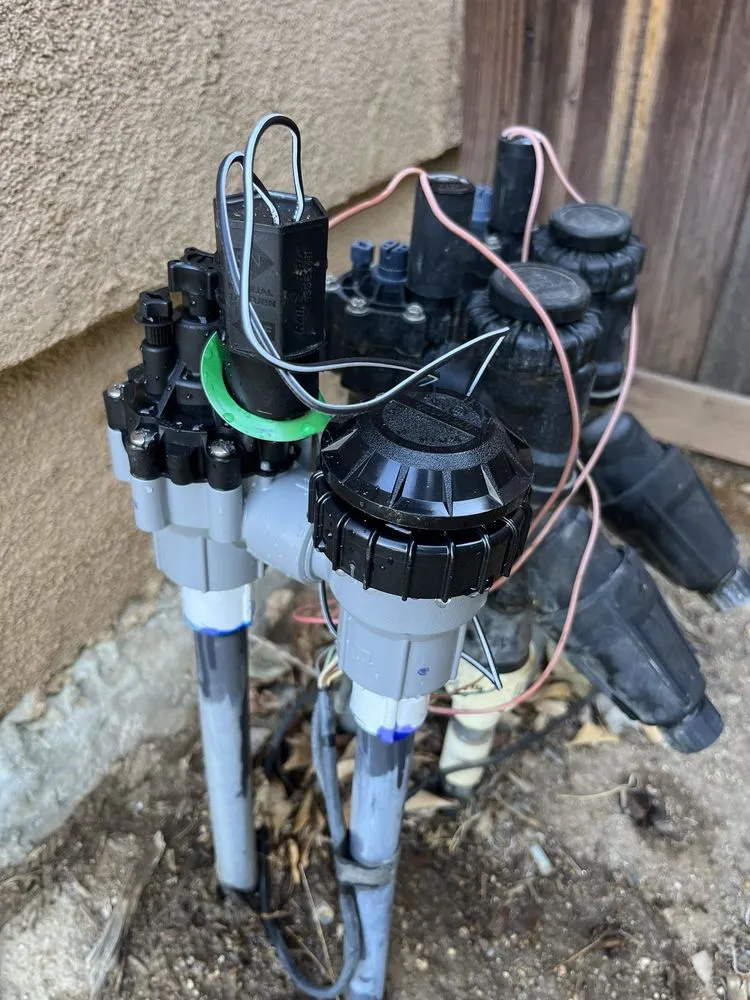 Custom yard maintenance for homes in Nuevo, CA by Christians Landscape Co