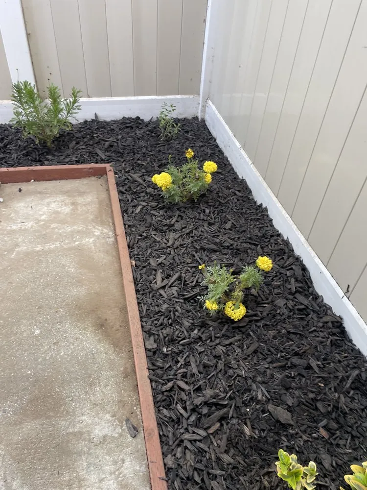 Reliable landscaping services experts serving Nuevo, CA - Christians Landscape Co