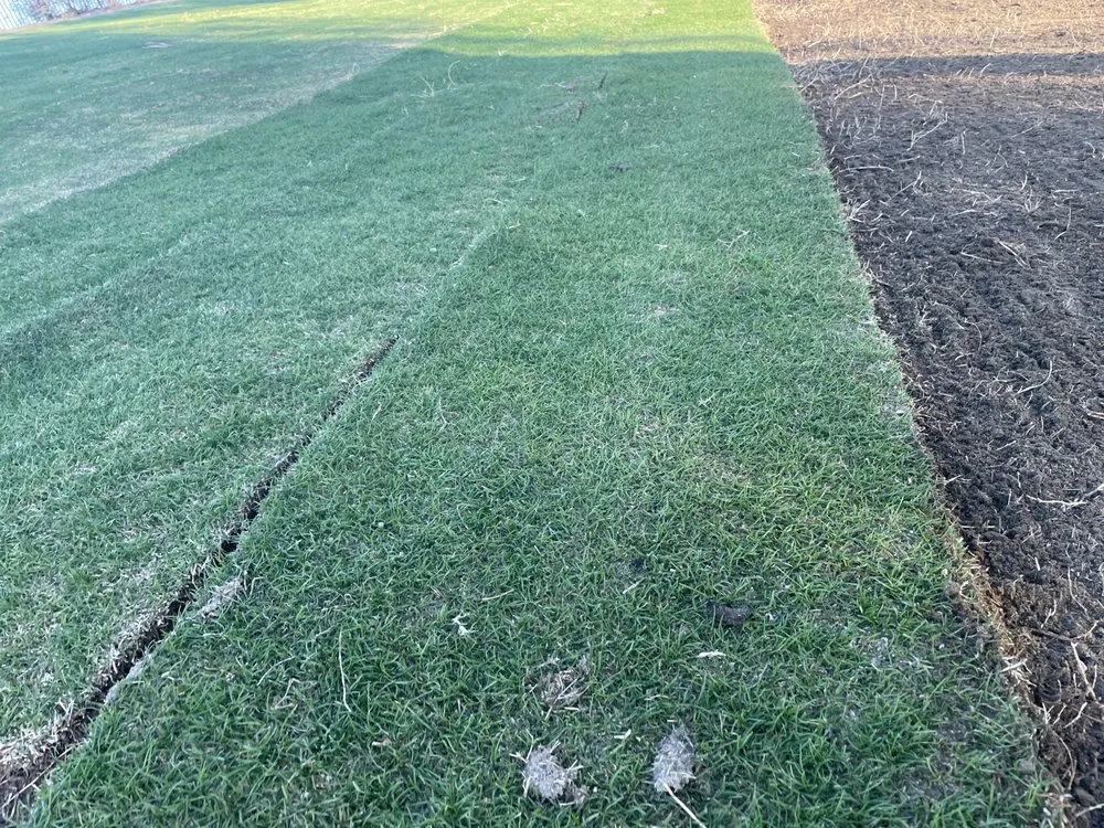 Expert yard maintenance for beautiful yards in Nuevo, CA by Christians Landscape Co