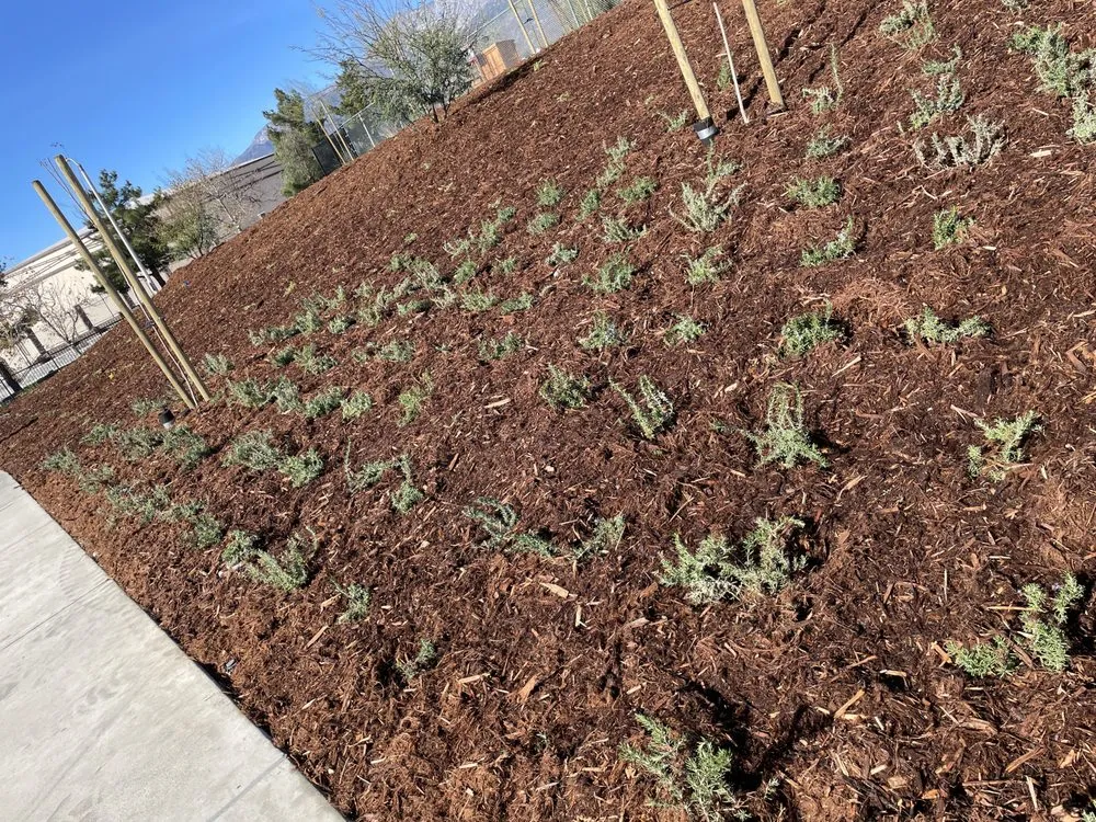 Trusted landscape design experts serving Nuevo, CA - Christians Landscape Co