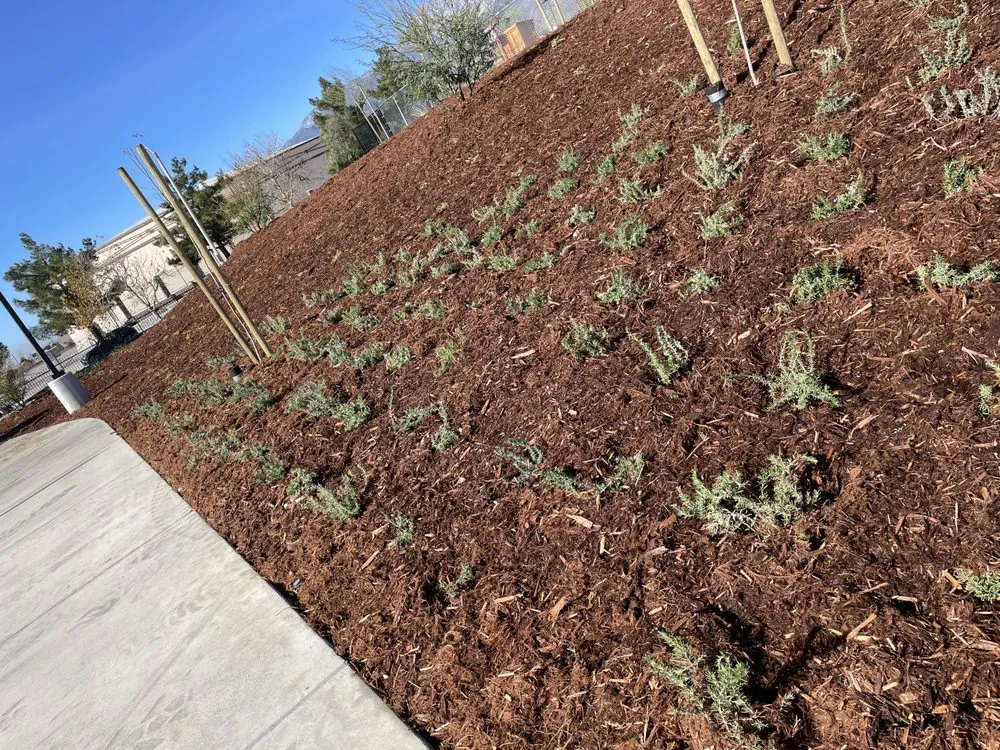 Professional residential landscaping in Nuevo, CA - Christians Landscape Co