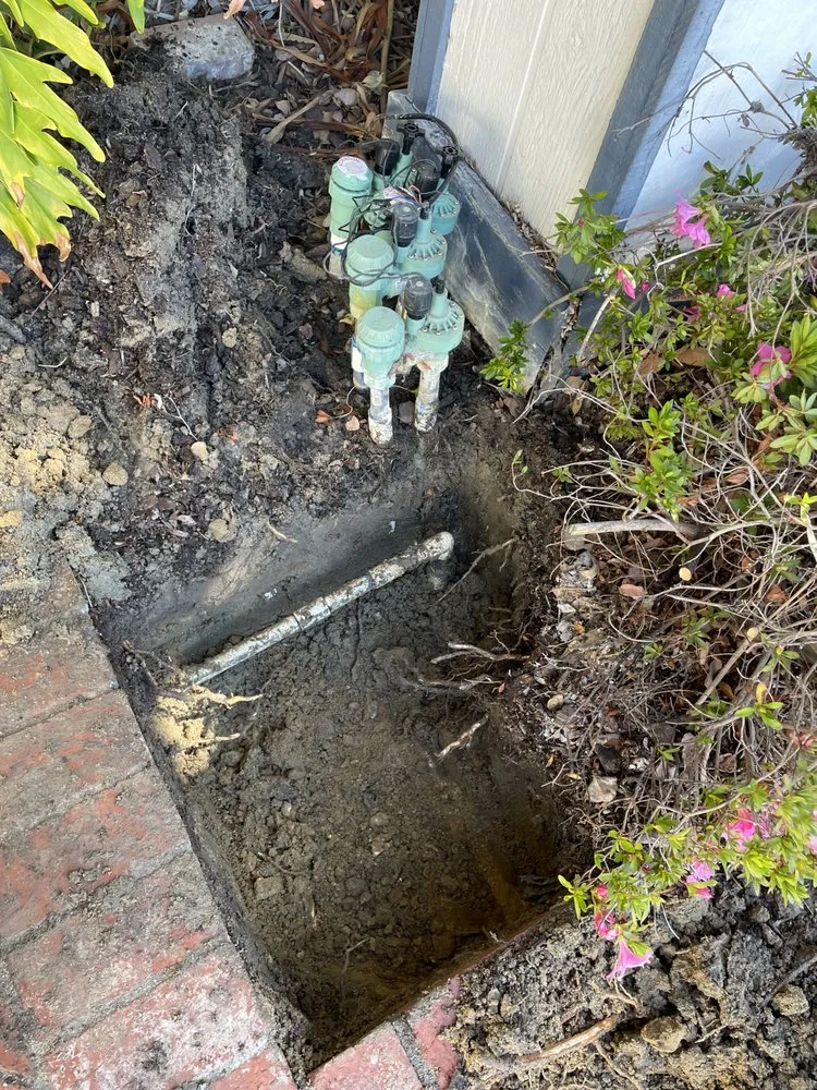 Local yard maintenance in Nuevo, CA - Christians Landscape Co