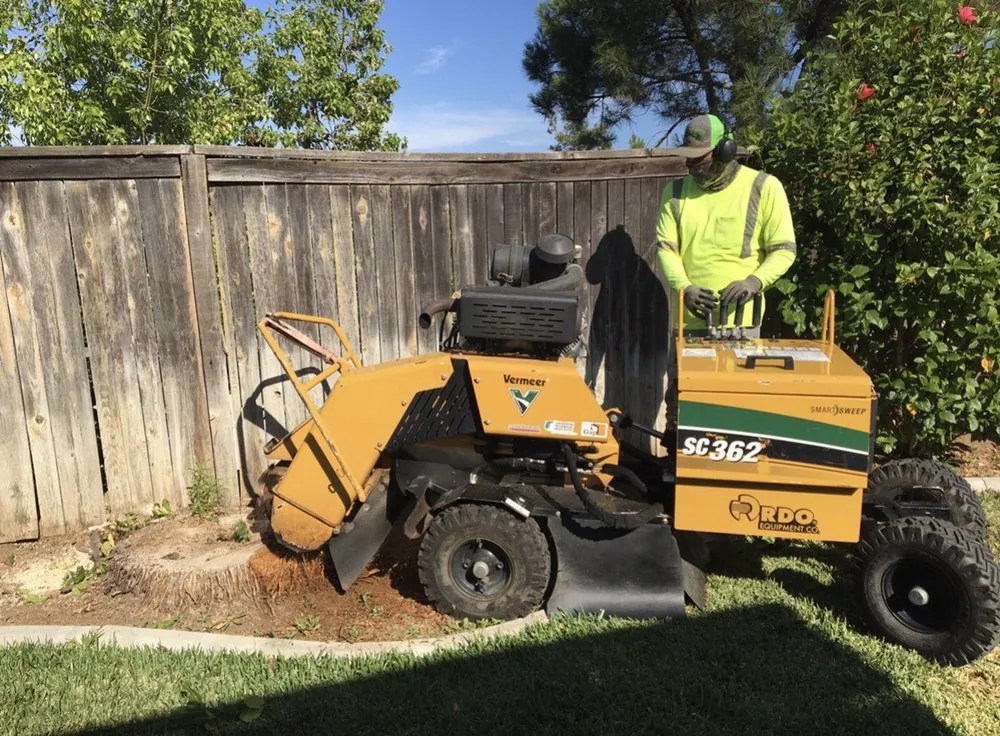 Reliable landscape design for beautiful yards across Corona, CA - Christian's Landscape