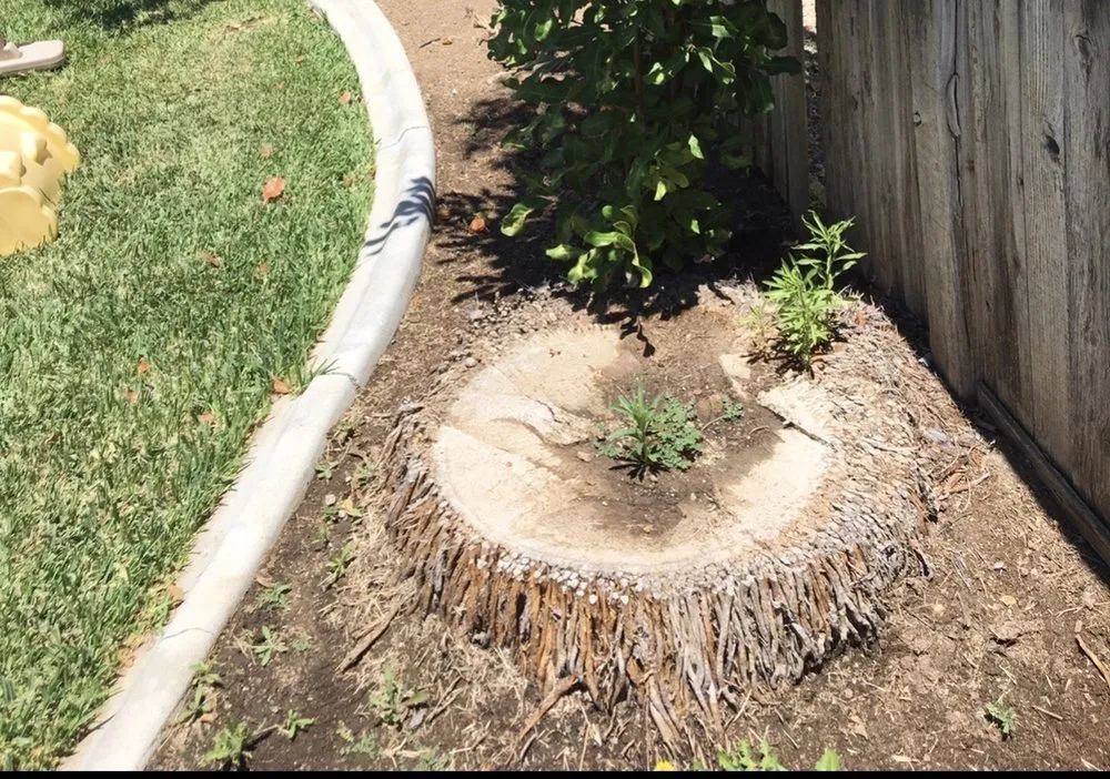 Custom garden landscaping with custom design across Corona, CA - Christian's Landscape