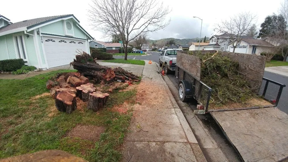 Affordable landscaping services for residential properties across Fairfield, CA - Christian's Landscape, Tree and lawn