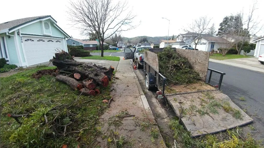 Local garden landscaping for residential properties across Fairfield, CA - Christian's Landscape, Tree and lawn