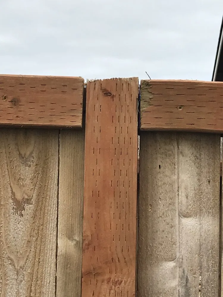 Affordable lawn care service experts serving Elma, WA - Christians Landscaping & Painting