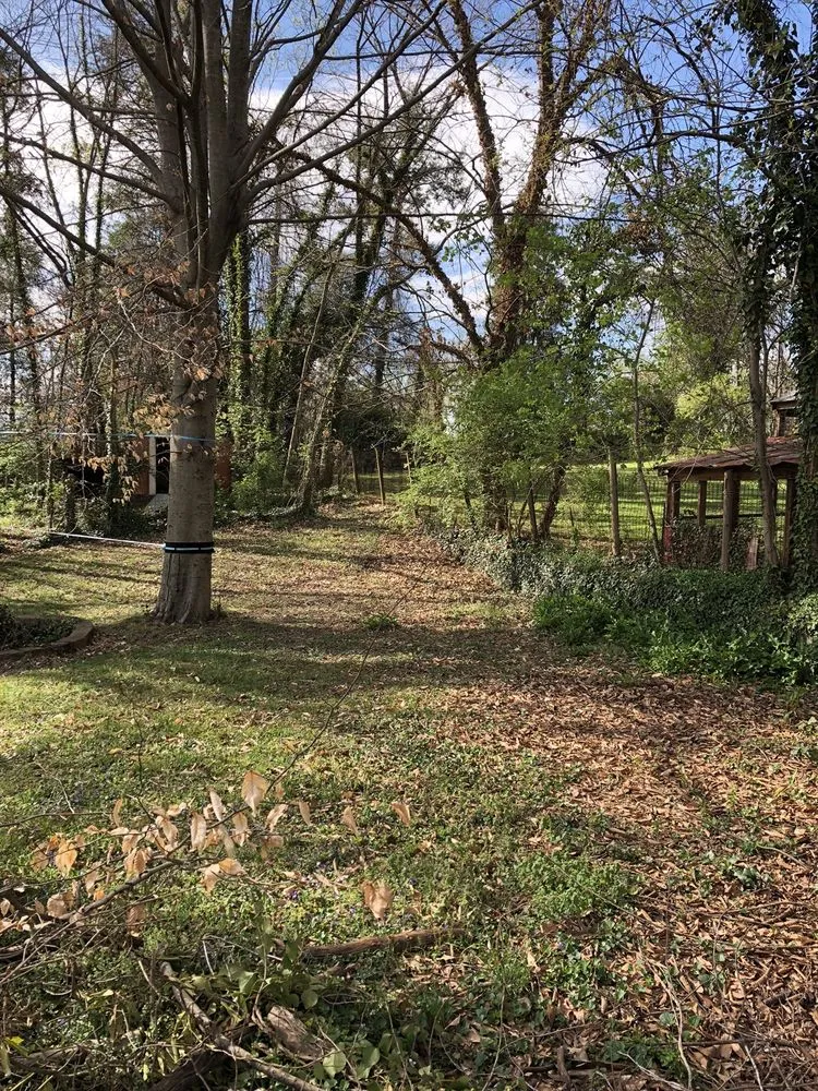 Affordable lawn mowing service near you across Charlottesville, VA - Christian's Lawn Care