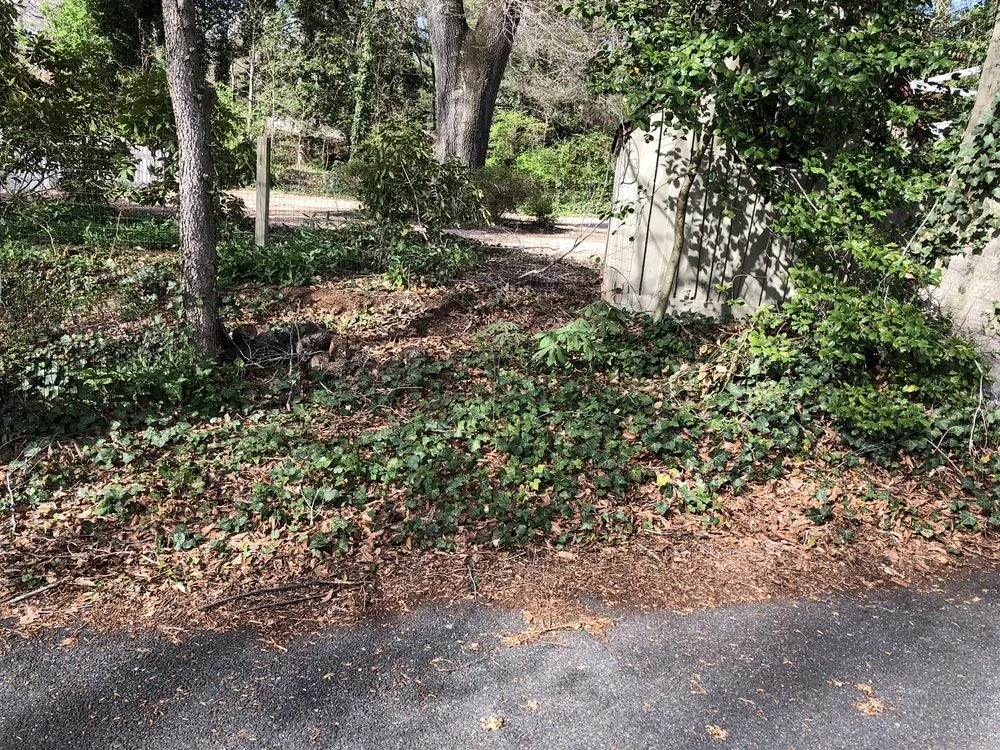 Local landscape design in Charlottesville, VA - Christian's Lawn Care