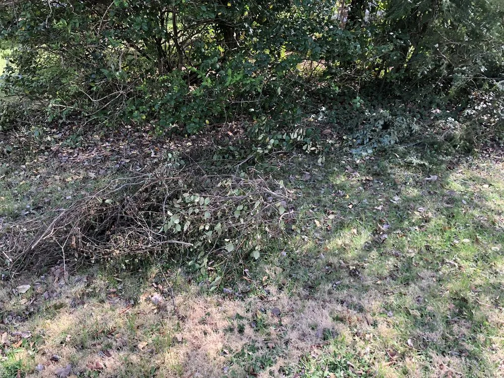 Trusted garden landscaping in Charlottesville, VA by Christian's Lawn Care