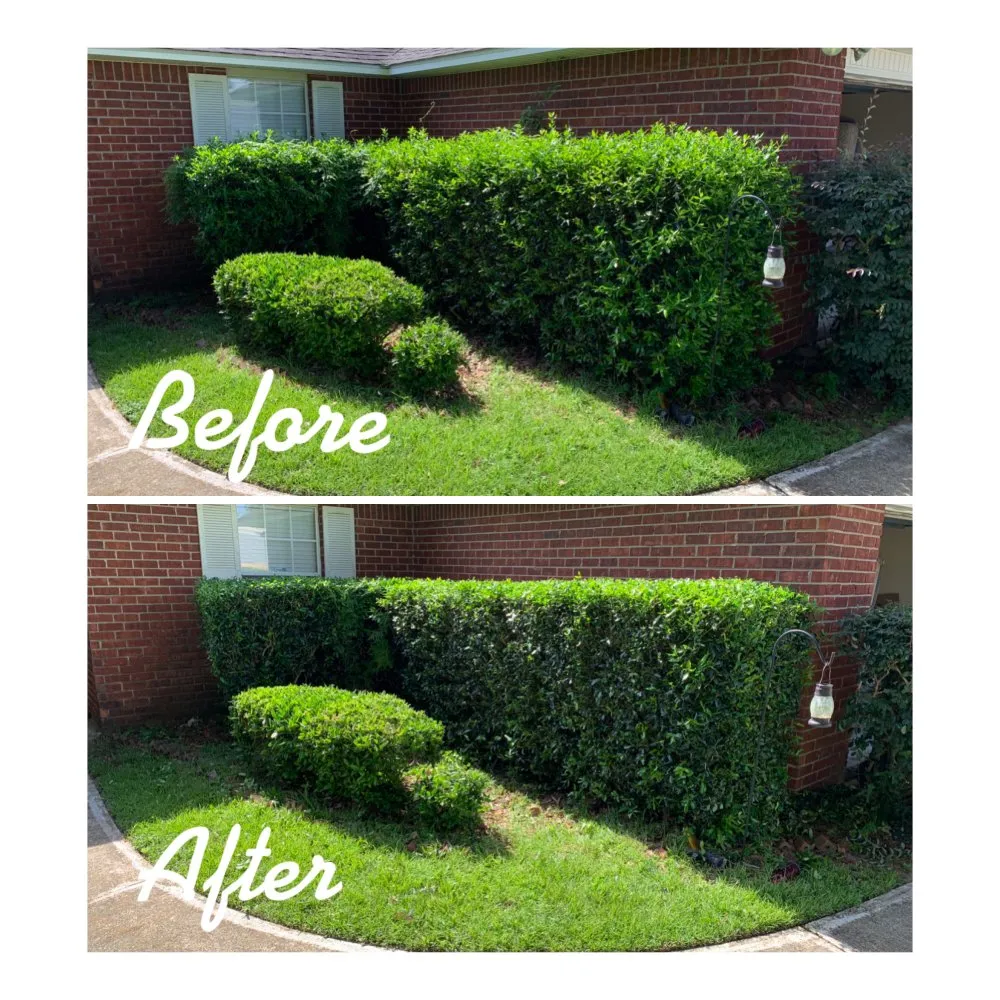 Expert yard cleanup service in Pensacola, FL - Christian’s Lawn Care