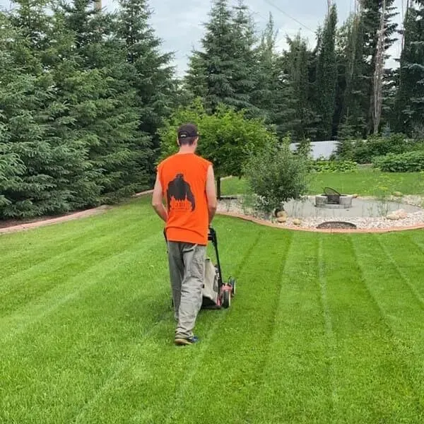 Professional garden landscaping experts serving Riverview, FL - Christians Lawn Care