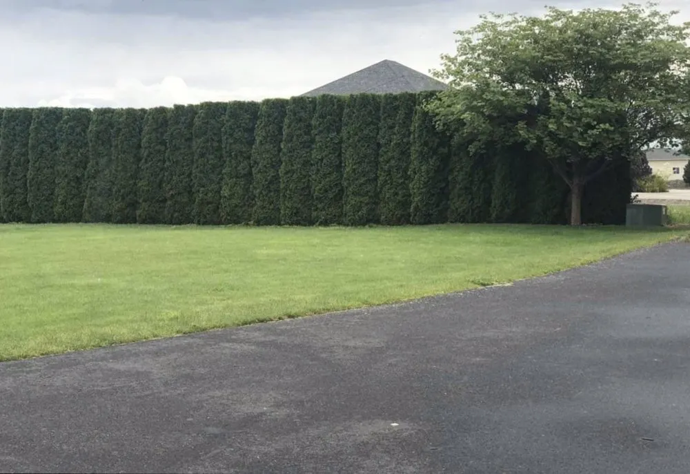 Reliable lawn mowing service for year-round maintenance across Walla Walla, WA - Christian’s Lawn Care