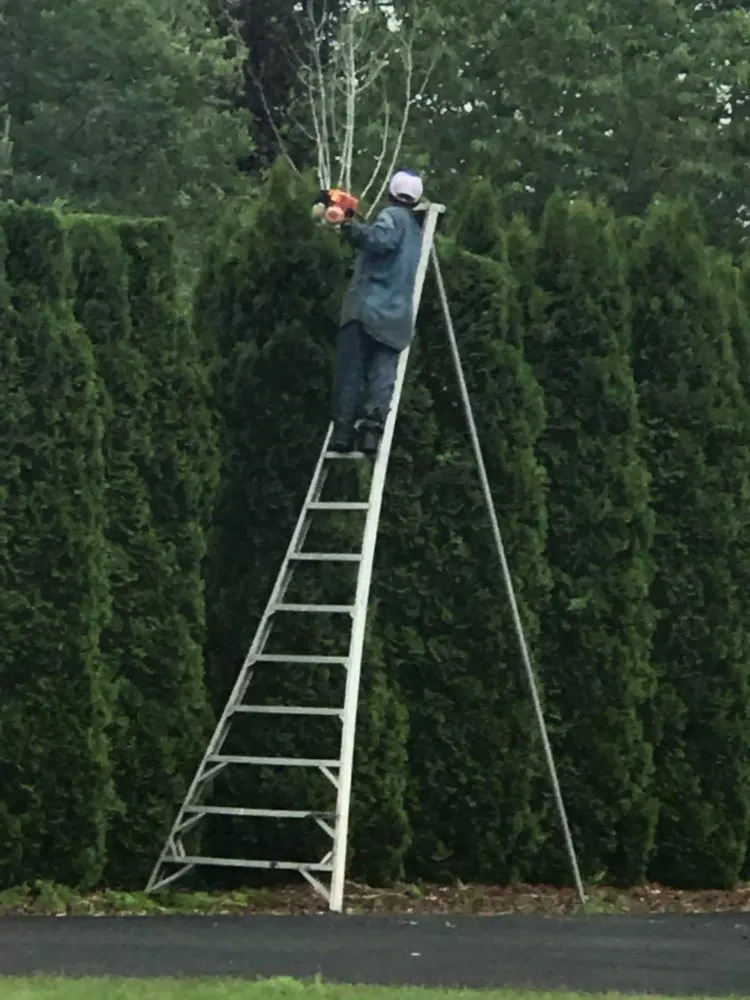 Expert garden landscaping in Walla Walla, WA - Christian’s Lawn Care