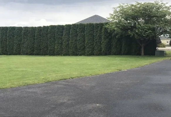 Christian’s Lawn Care Logo