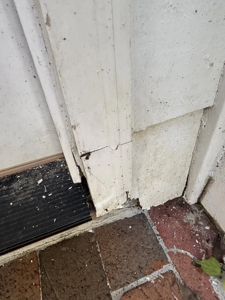 Professional lawn care service for year-round maintenance in Birmingham, AL by Christian’s Pressure Washing and Lawn Maintenance