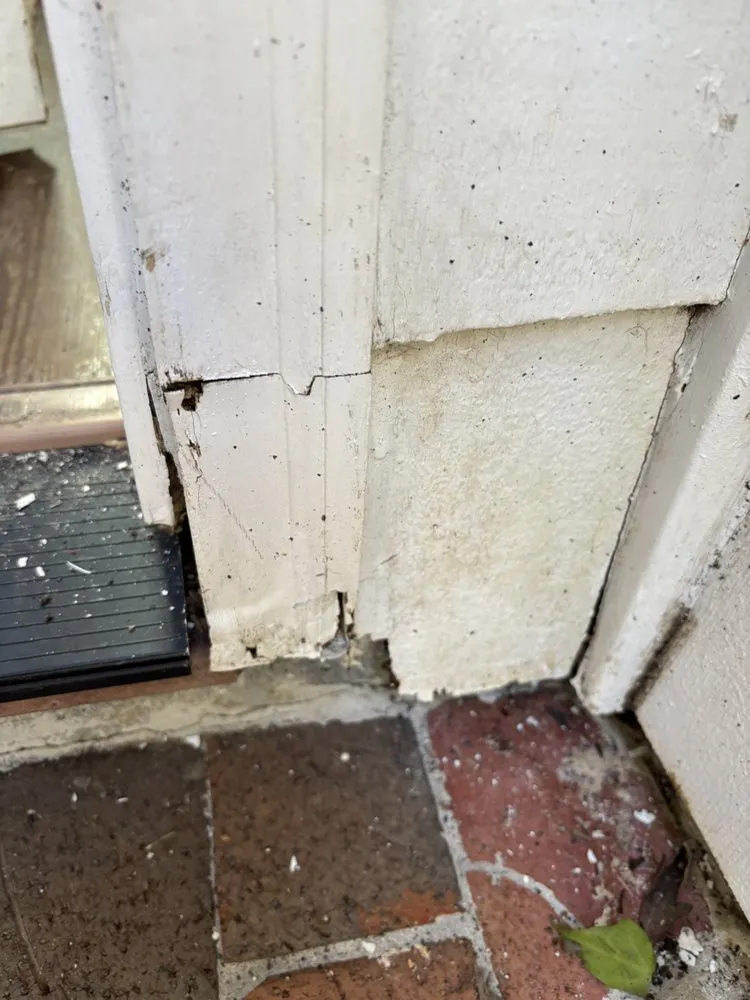 Reliable yard cleanup service experts serving Birmingham, AL - Christian’s Pressure Washing and Lawn Maintenance