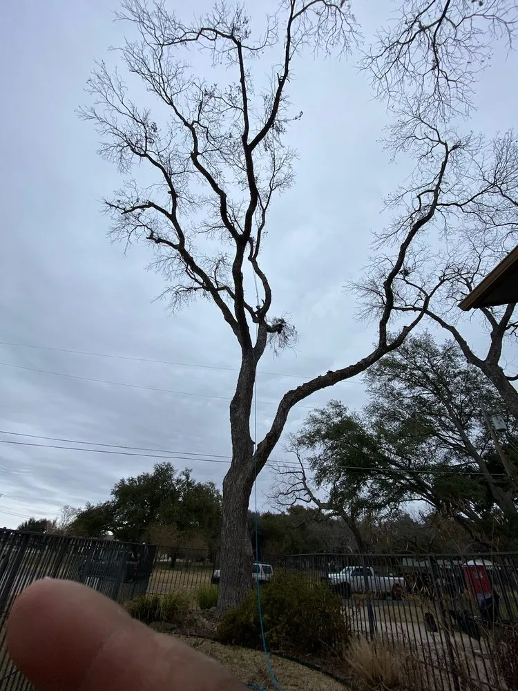 Top-rated outdoor landscaping for residential properties across Bertram, TX - Christian's Tree & Landscaping Services