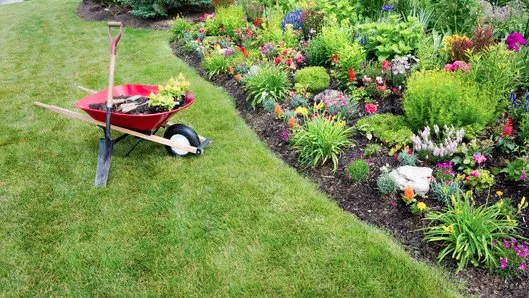 Top-rated residential landscaping for outdoor upgrades across Bertram, TX - Christian's Tree & Landscaping Services