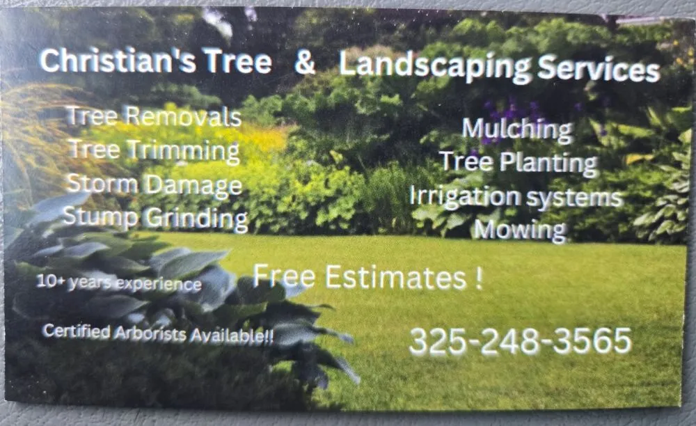 Trusted yard maintenance in Bertram, TX by Christian's Tree & Landscaping Services