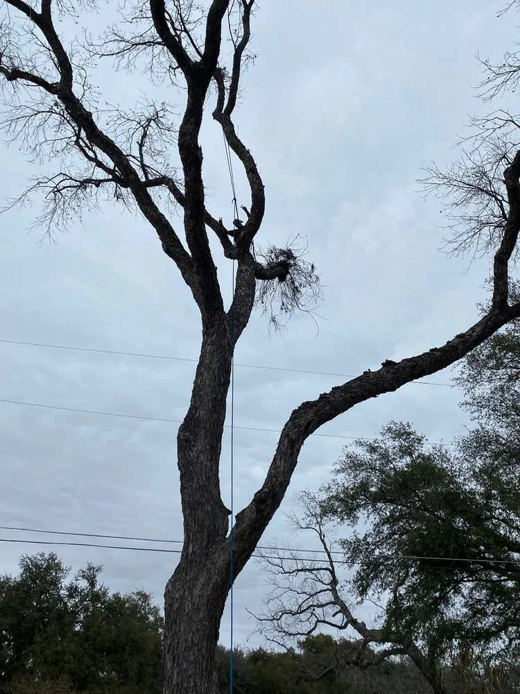 Affordable residential landscaping for outdoor upgrades across Bertram, TX - Christian's Tree & Landscaping Services