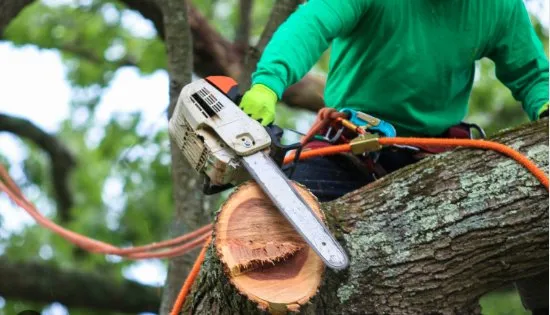 Custom landscaping services in Bertram, TX - Christian's Tree & Landscaping Services