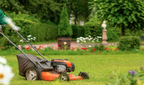 Professional outdoor landscaping experts serving Bertram, TX - Christian's Tree & Landscaping Services