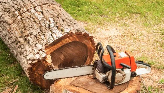 Top-rated residential landscaping in Bertram, TX - Christian's Tree & Landscaping Services