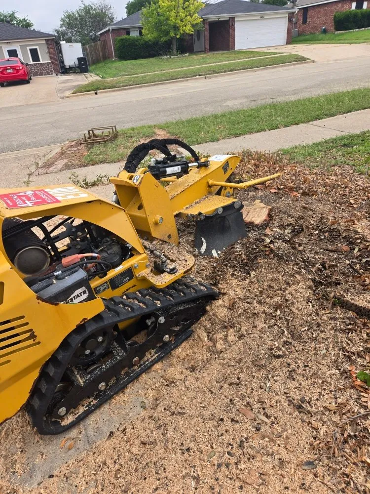 Expert yard maintenance in Bertram, TX - Christian's Tree & Landscaping Services