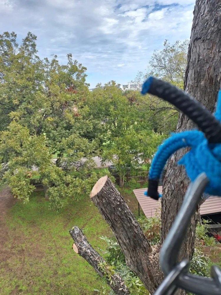 Reliable landscape design for homes across Bertram, TX - Christian's Tree & Landscaping Services