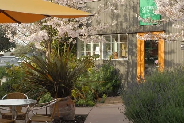 Local lawn care service for homes across Santa Cruz, CA - Christiansen Associates Garden and Design