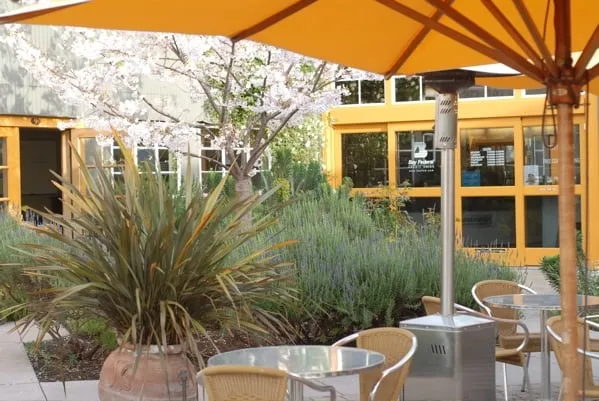 Professional residential landscaping for year-round maintenance in Santa Cruz, CA by Christiansen Associates Garden and Design