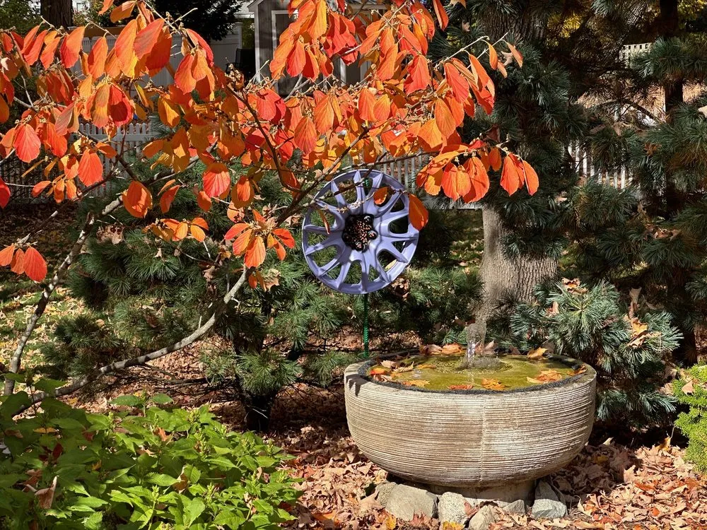 Local landscaping services near you in Hyde Park, MA by Christie Dustman & Company