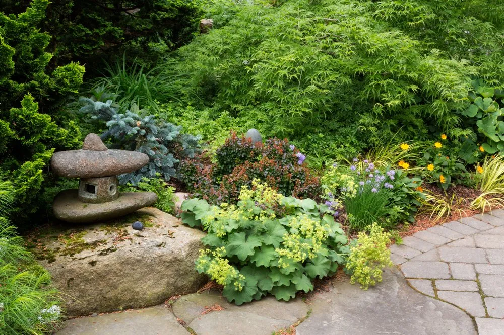 Top-rated yard cleanup service for year-round maintenance across Hyde Park, MA - Christie Dustman & Company