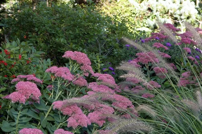 Professional yard maintenance with custom design in Hyde Park, MA by Christie Dustman & Company