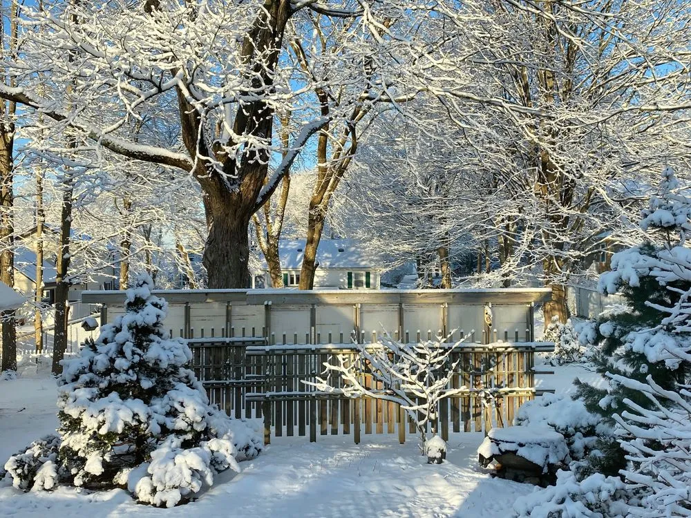 Affordable landscape design for beautiful yards across Hyde Park, MA - Christie Dustman & Company