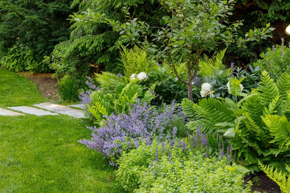 Professional lawn mowing service in Hyde Park, MA by Christie Dustman & Company
